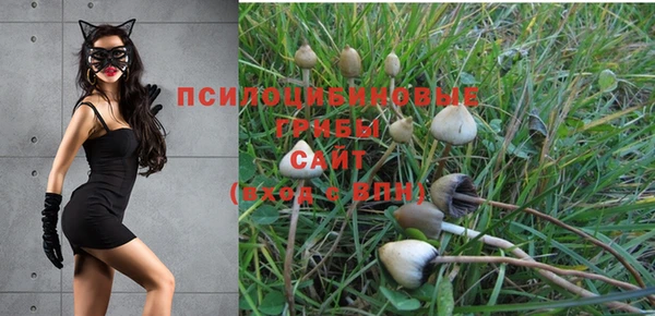 2c-b Алексеевка